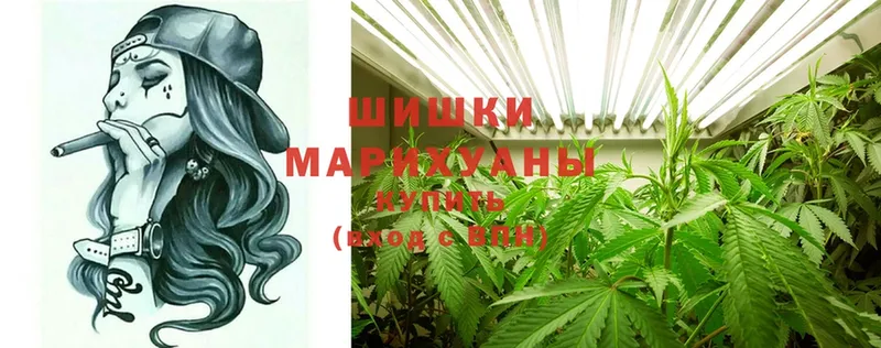 Шишки марихуана ГИДРОПОН  Богданович 